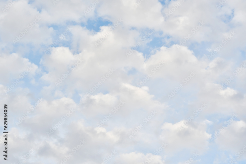 Fototapeta premium 爽快な雲