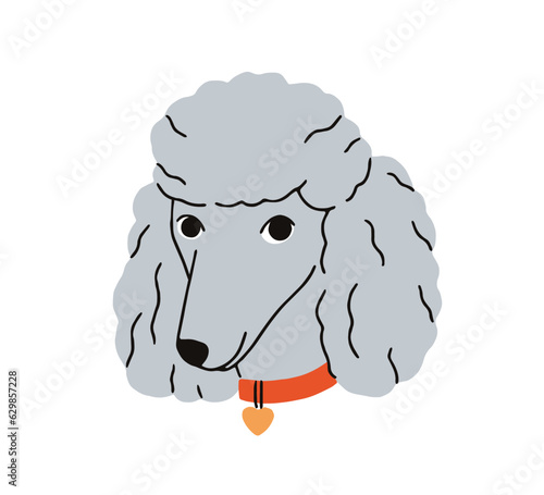 Cute dog avatar of Poodle breed. Adorable happy Pudel in collar, canine head ...