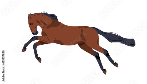 Trakehner breed horse profile. Stallion, equine animal running fast, galloping. Bay steed, racehorse in motion, action, moving position. Flat vector illustration isolated on white background
