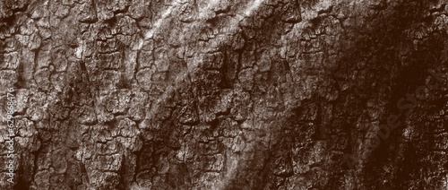 bark of tree