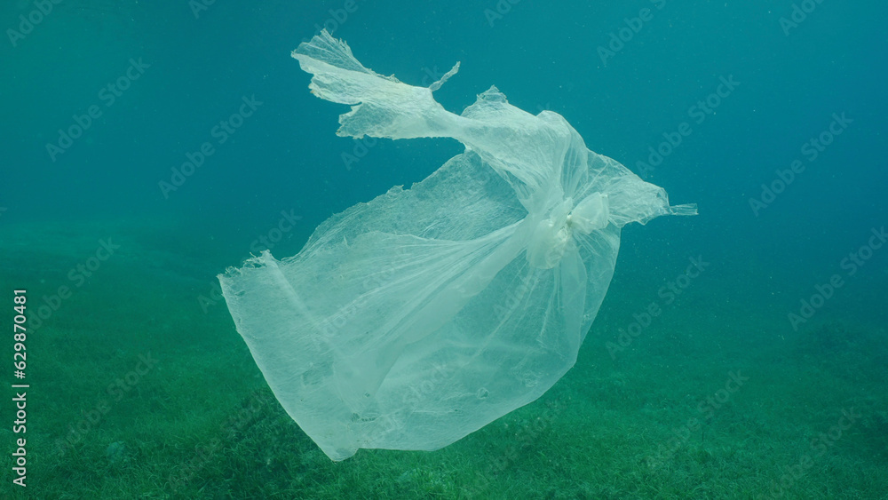 Old plastic bag drifting in water column over seagrass meadow. Plastic ...