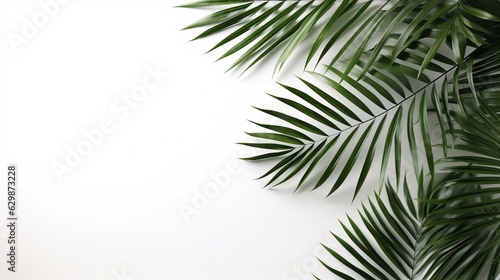 Palm leaves  isolated on white  Generative ai