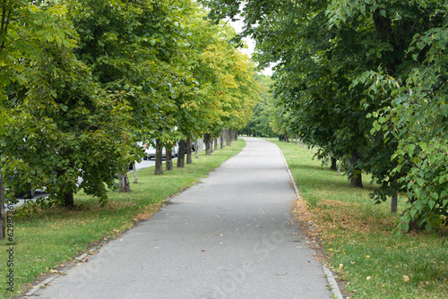 Clean smooth pedestrian asphalt path among the trees in the city park
