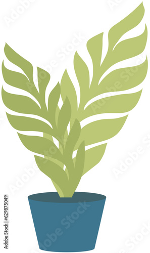 Home or office plant in pot. Vector illustration. Foliage plant in pot for interior. Home plant in flowerpot. Houseplants isolated on white. Trendy green home decor. Houseplant in ceramic container