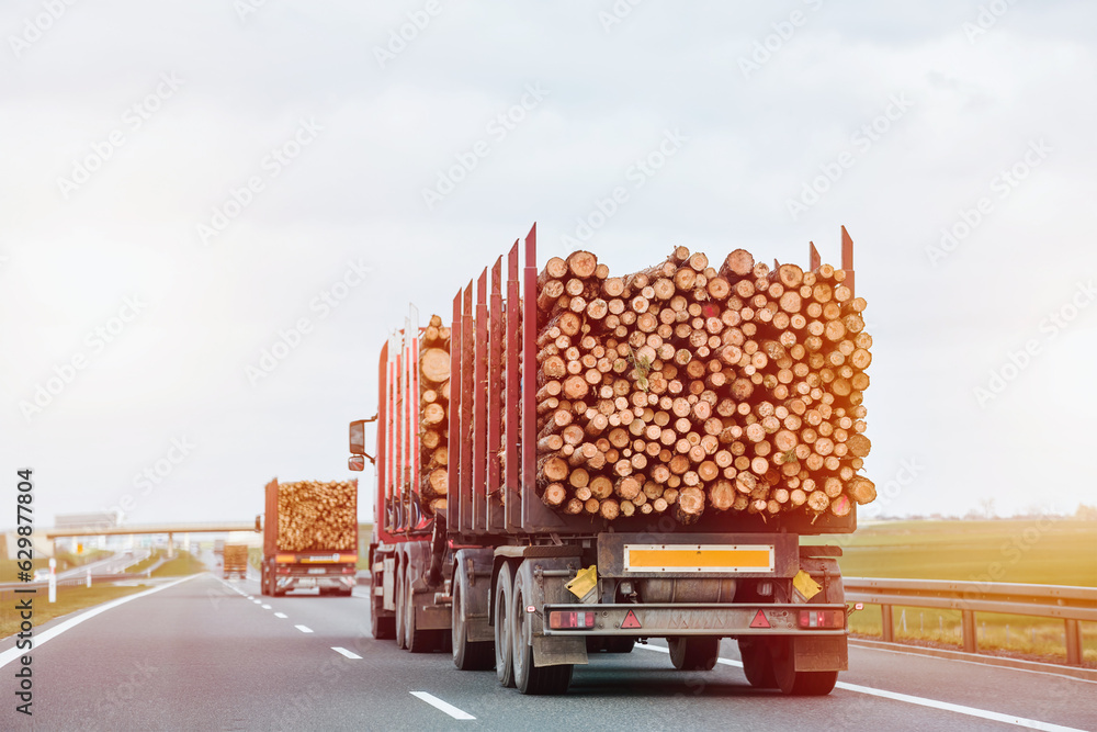 Commercial Timber Transport. Trucking Logs on a Summer Day along a Suburban Highway. Concept commercial timber import in Europe.