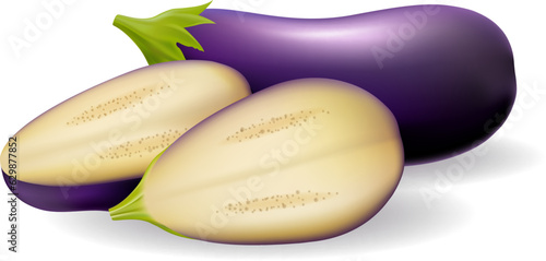 Eggplants aubergine vegetable realistic