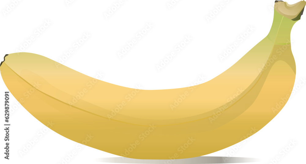 The illustration of a ripe yellow banana