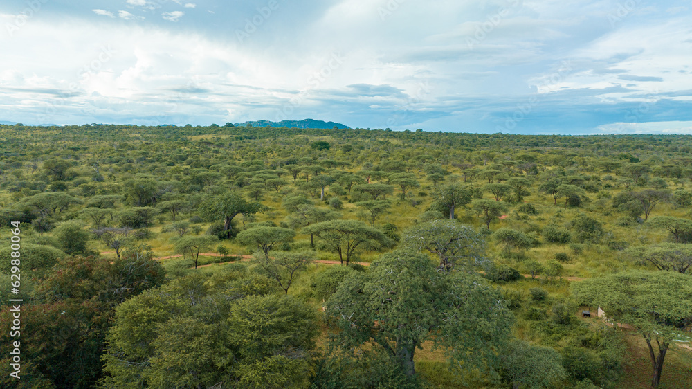 Aerial view of Nyerere national Park in Tanzania