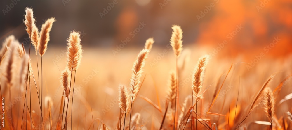 Fototapeta premium Wheat crop field nature background. Generative AI technology.
