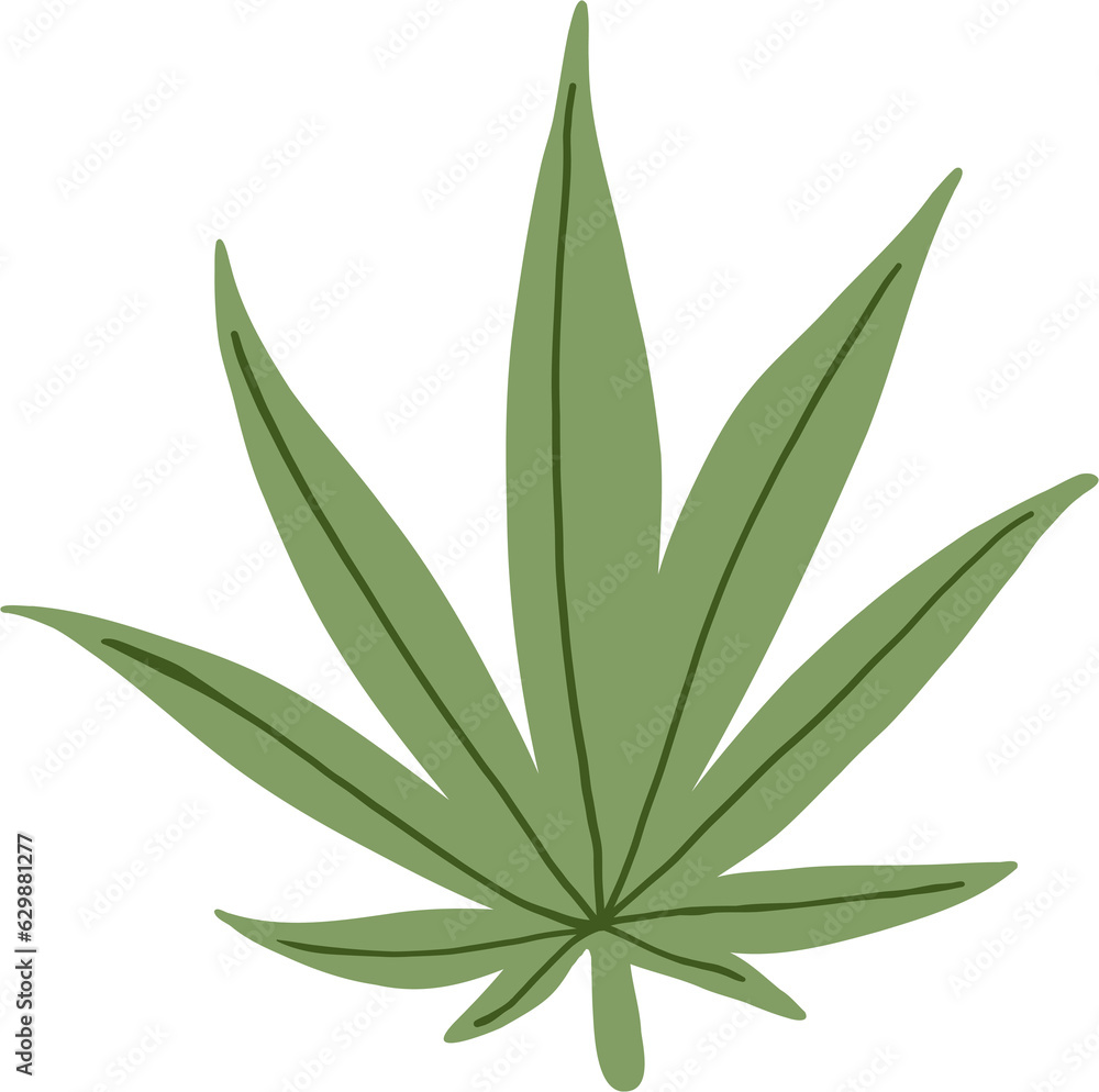 Fototapeta premium simplicity cannabis leaf freehand drawing