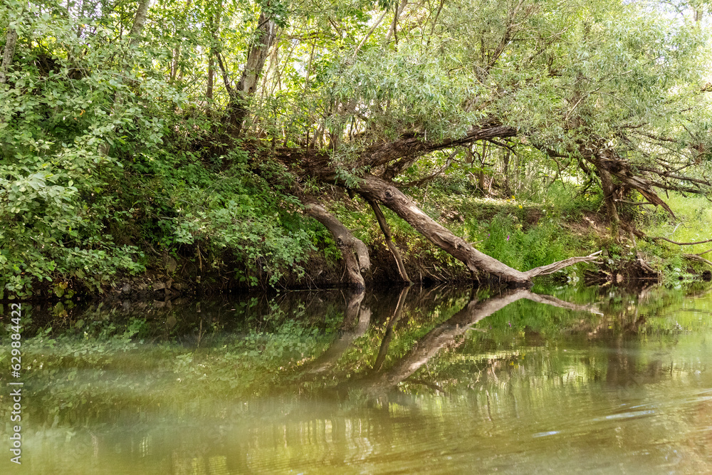 A broken branch of a tree with a reflection in the water.
A broken branch of a tree with a reflection in the water.