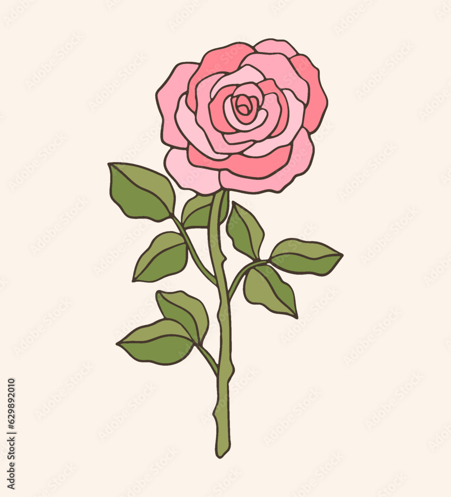 hand drawn botanical vector rose stem flower vintage illustration