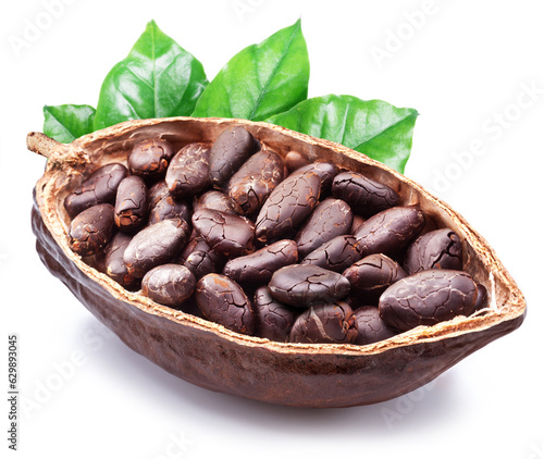 Dried cocoa beans in the half of cocoa pod isolated on white background.