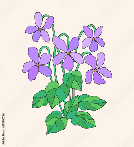 hand drawn botanical vector viola pansy flower illustration