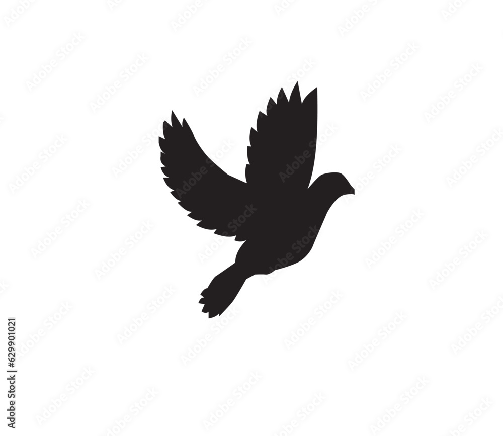 dove of peace dove of peace