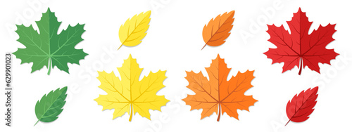 Red, green, yellow and orange autumn leaves isolated on white background.