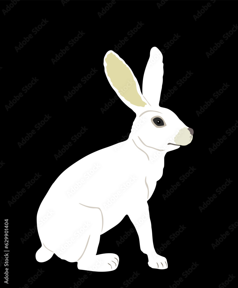 White rabbit vector illustration isolated on black background. Rodent animal symbol. Easter holiday symbol. Hare cute herbivore. White rabbit vector illustration isolated on black background. Rodent animal symbol. Easter holiday symbol. Hare cute herbivore.