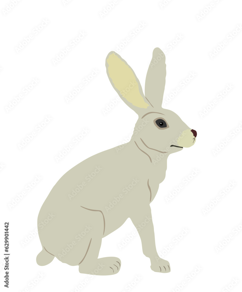 Rabbit vector illustration isolated on white background. Rodent animal symbol. Easter holiday symbol. Hare cute herbivore. Rabbit vector illustration isolated on white background. Rodent animal symbol. Easter holiday symbol. Hare cute herbivore.