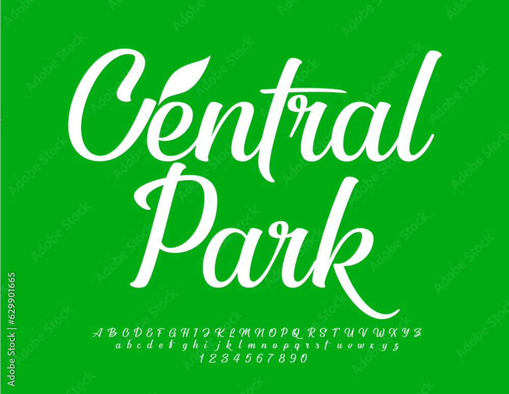 Vector eco concept Central Park with decorative Leaf. White stylish Font. Calligraphic Alphabet Letters, Numbers and Symbols set Vector eco concept Central Park with decorative Leaf. White stylish Font. Calligraphic Alphabet Letters, Numbers and Symbols set