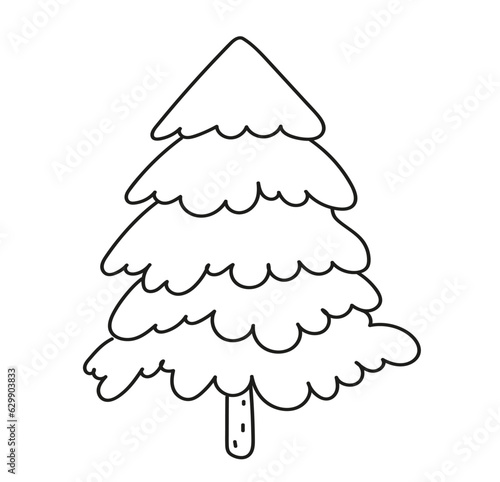 conifer pine fir christmas needle trees doodle vector illustration