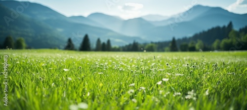 Green grass with bokeh mountain landscape background. Generative AI technology.