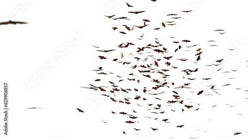 group of flying bats isolated on transparent background