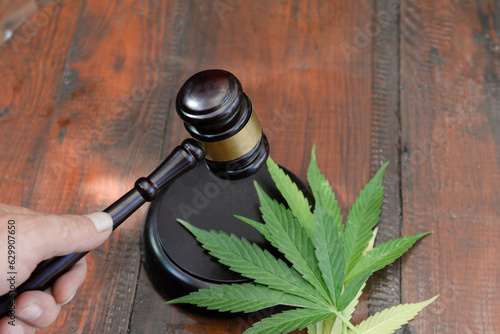 Billede på lærred judicial gavel, small ceremonial mallet in judge's hand near marijuana leaves cultivation of medical narcotic plant