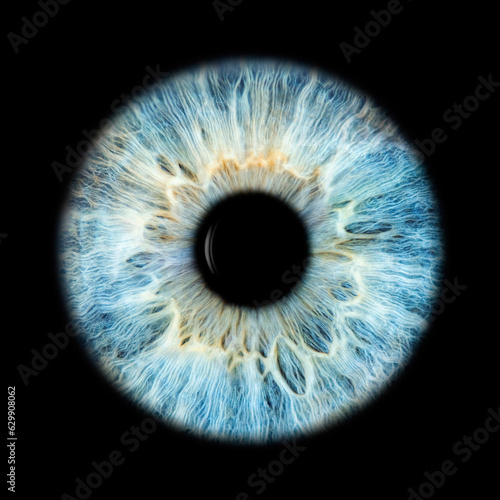 IRIS EWP