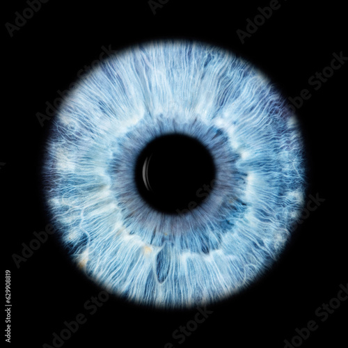 IRIS EWP
