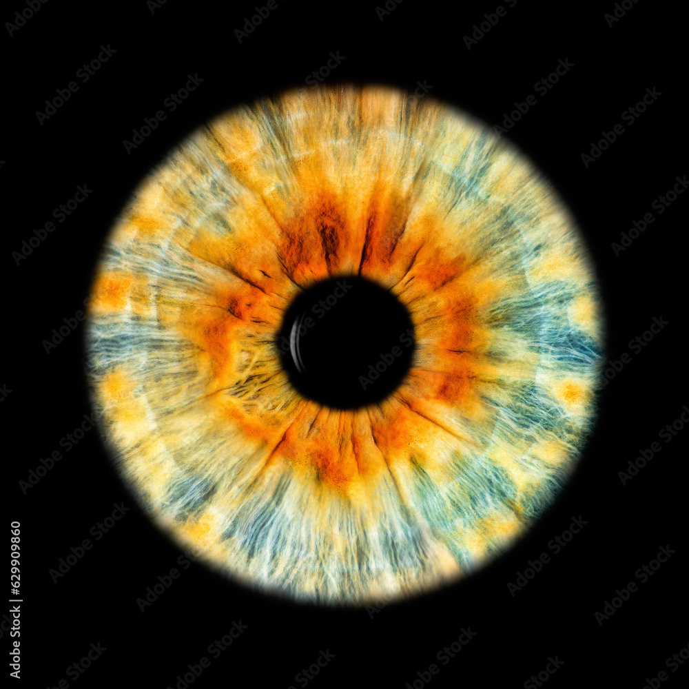 IRIS EWP IRIS EWP