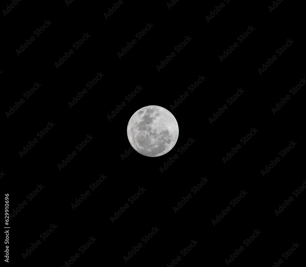 Sturgeon Large white moon over the Sydney skies Thursday 1 August 2023 NSW Australia Sturgeon Large white moon over the Sydney skies Thursday 1 August 2023 NSW Australia