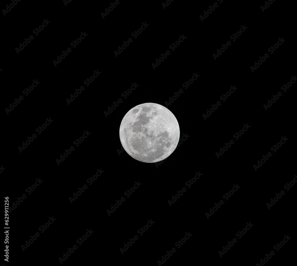 Sturgeon Large white moon over the Sydney skies Thursday 1 August 2023 NSW Australia Sturgeon Large white moon over the Sydney skies Thursday 1 August 2023 NSW Australia