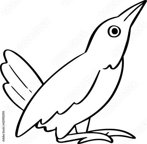 hand drawn bird illustration.