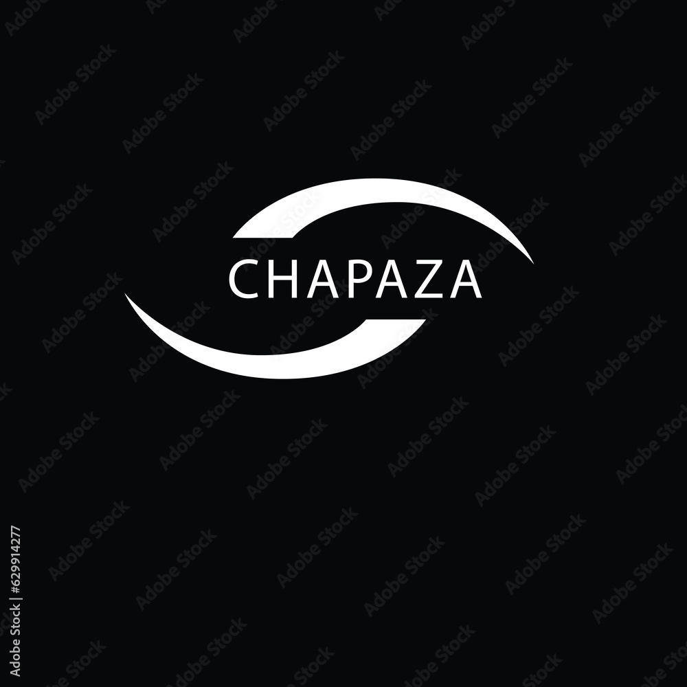 Copyspace logo design icon vector image Copyspace logo design icon vector image