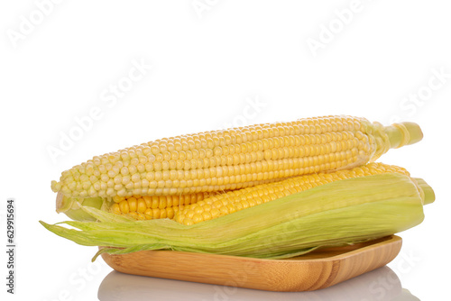 Several fresh corn cobs on a bamboo tray, macro, isolated on white background.