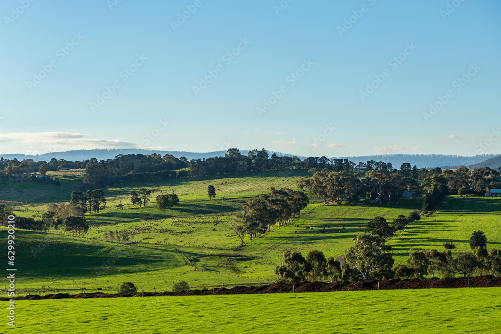 green landscape view over farmland with blue sky green landscape view over farmland with blue sky
