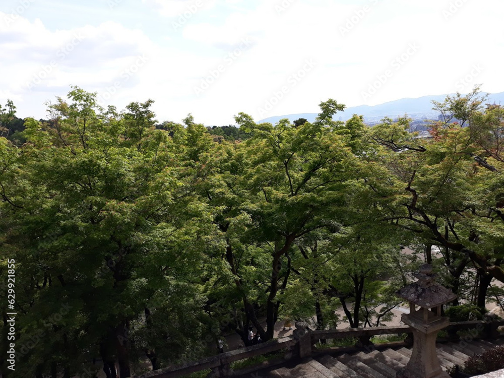 Fototapeta premium 일본 청수사 풍경