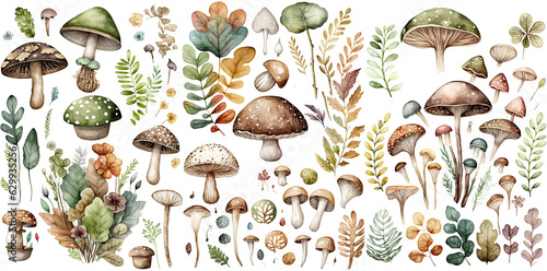Valokuvatapetti Set of Mushroom watercolor collection of hand drawn, Mushroom brown color, Mushroom elegant watercolor , Mushroom isolated transparent background, PNG