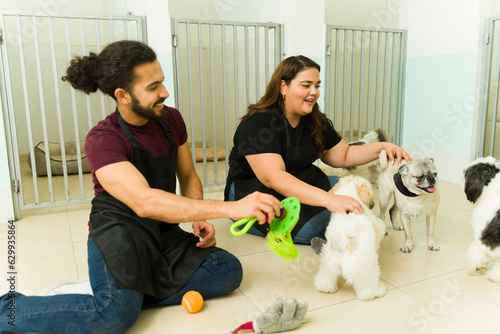 Excited dog daycare workers playing with small dogs photo
