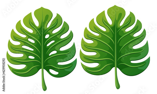 Monstera leaf. Green icon isolated on a white background. Vector clipart.
