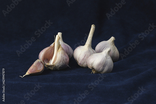Several tubers of ripe garlic are depicted against a dark background.