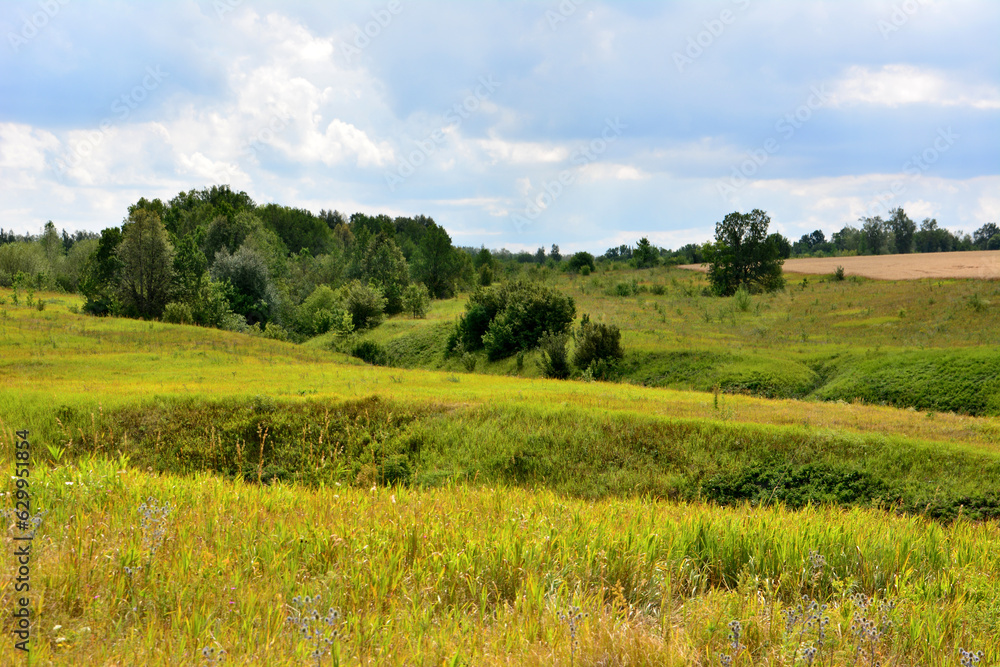 green hills with green grass, green trees and bushes and rainy sky on background copy space green hills with green grass, green trees and bushes and rainy sky on background copy space