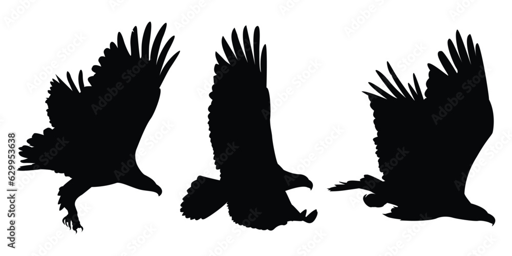 Obraz premium Animals Eagle Silhouettes Vector Illustration