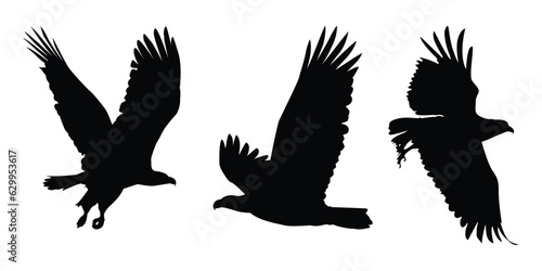 Animals Eagle Silhouettes Vector Illustration