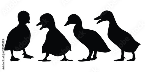 Farm Animal Newly born Duck Silhouette Vector Illustration