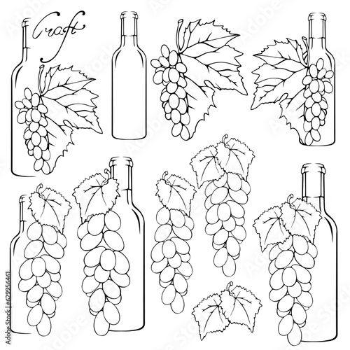 painted wine bottle and grape , sketch set, colouring page, 