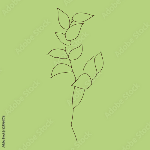 Botanical plant sprigs and delicate  in a vector illustrations in linear boho style. Bohemian emblems in line with flowers and leaves, symbol for logo 