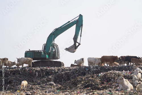 Huge mountains of garbage piled up in the Piyungan landfill, seen by animals and excavators. Waste management emergency in Yogyakarta.