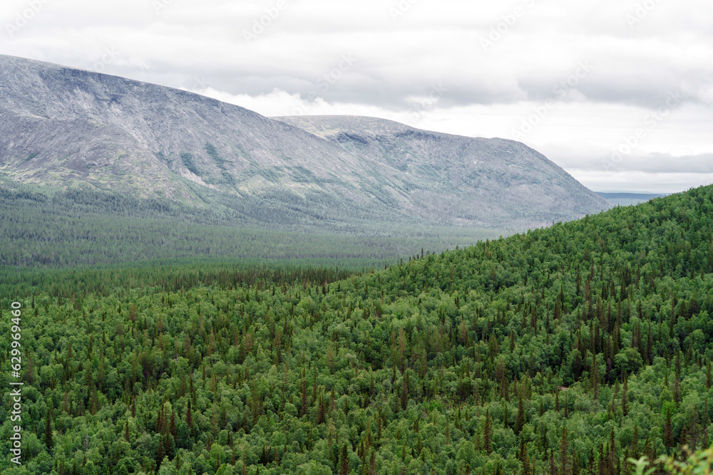 Mountain nature id from above, forest and mountains of the north.