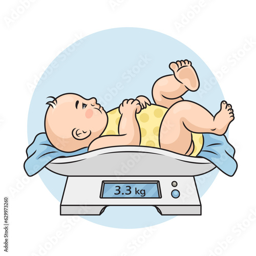 newborn baby being weighed on the scales diagram schematic vector illustration. Medical science educational illustration